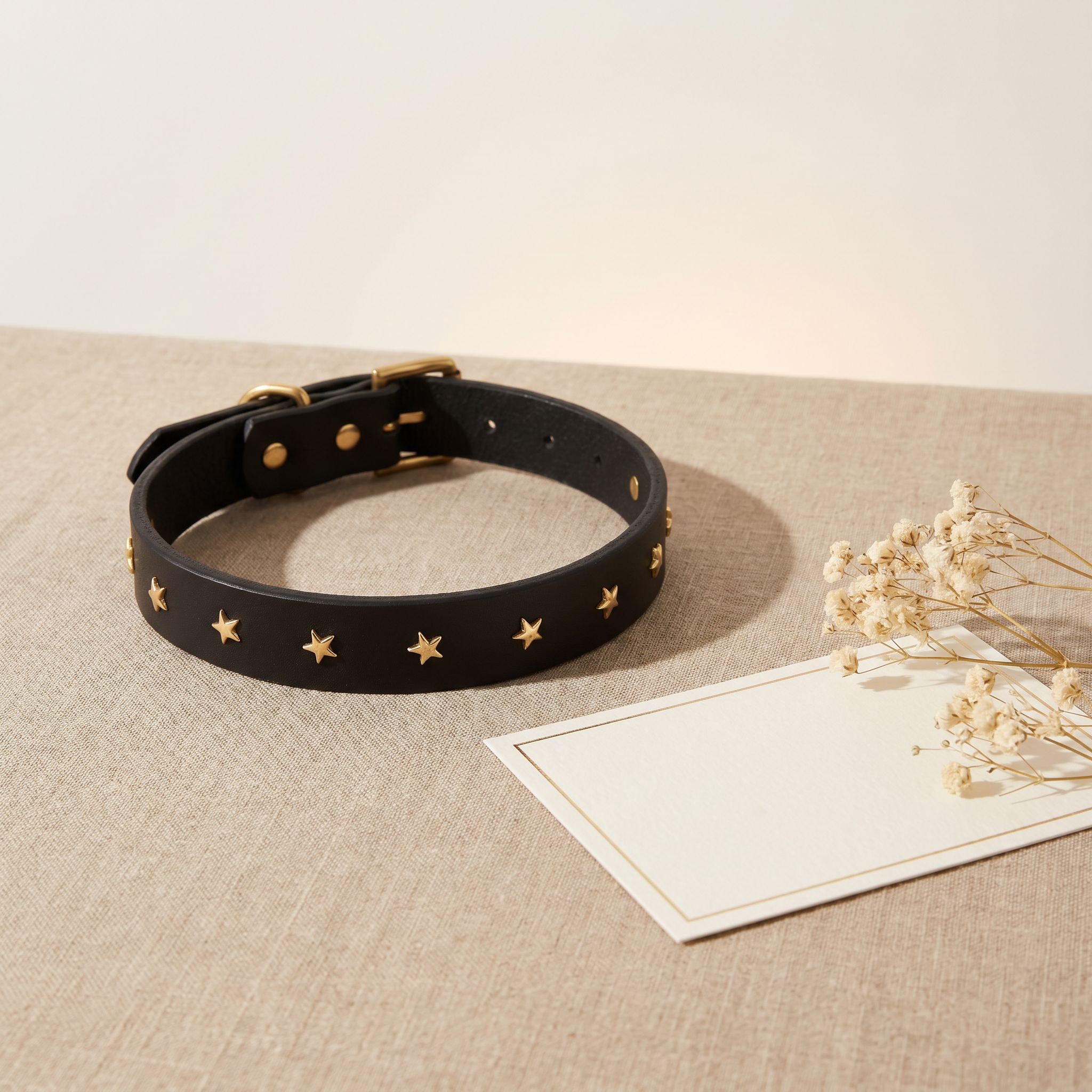 Collier chien - collier enchanté